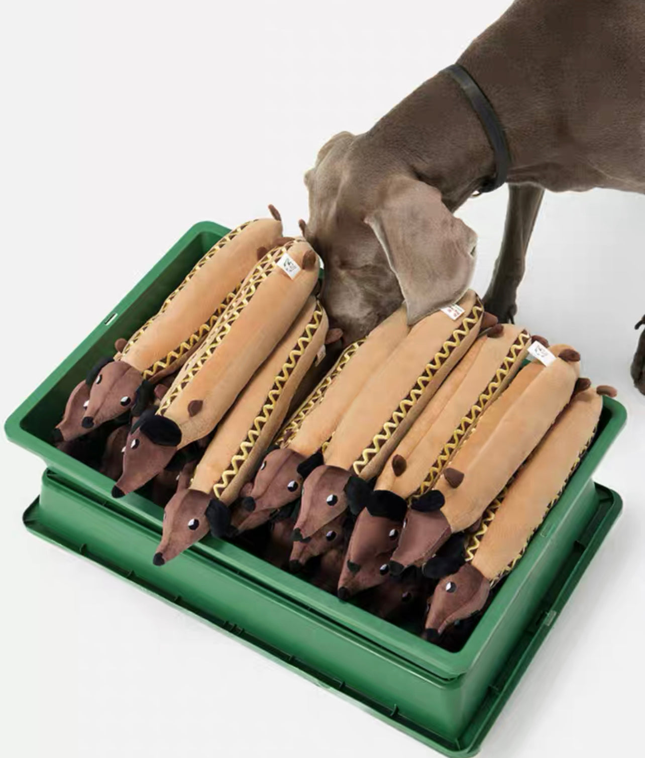 Sausage pet chew toy