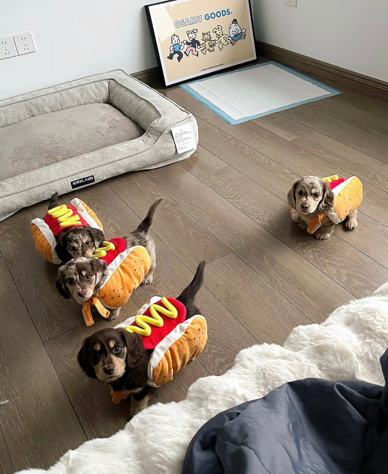 Hotdog costume