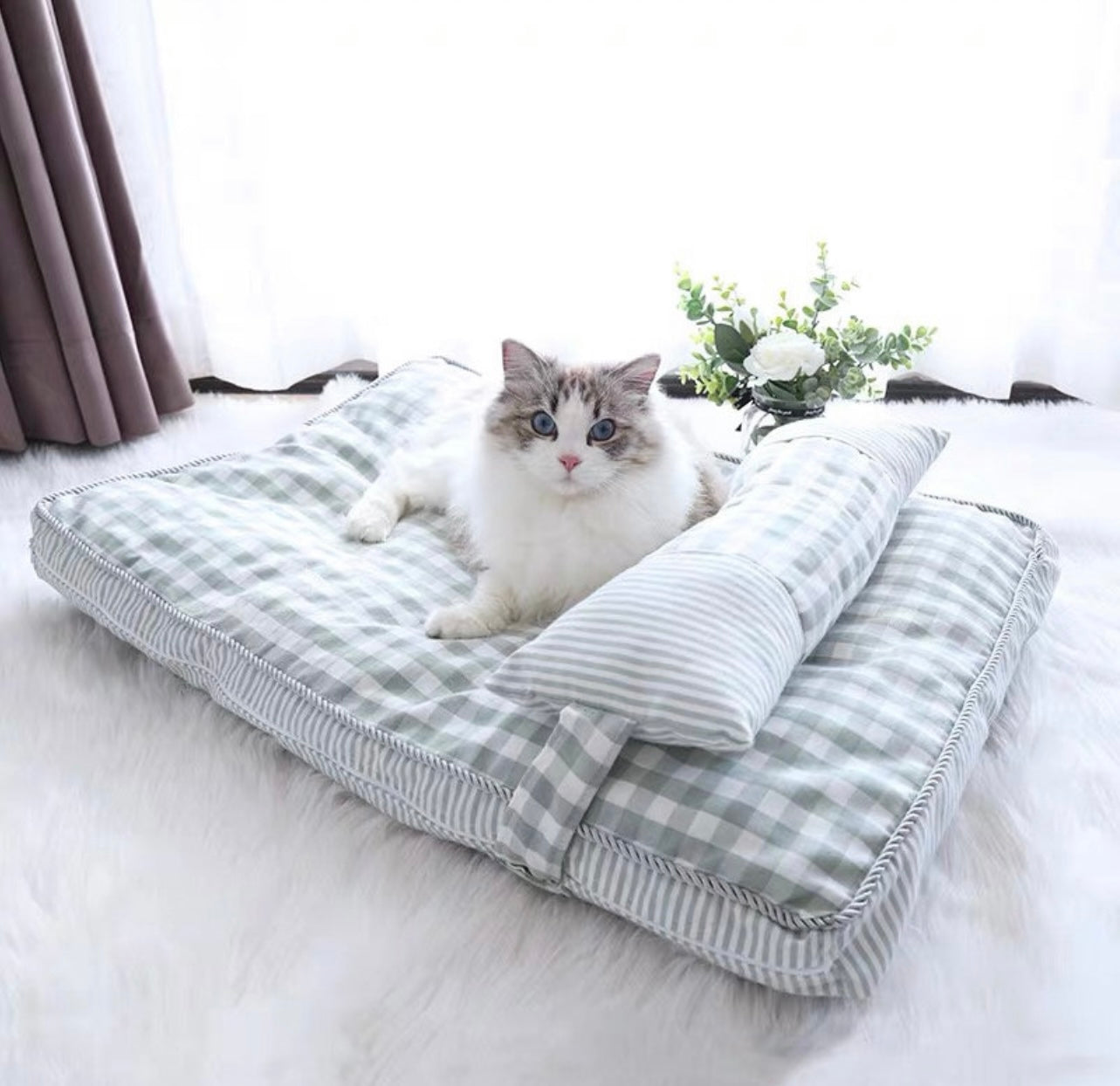 Dog Day Mattress
