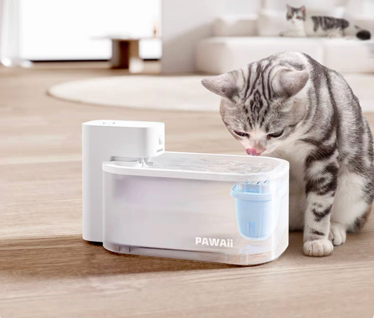 Wireless pet water fountain