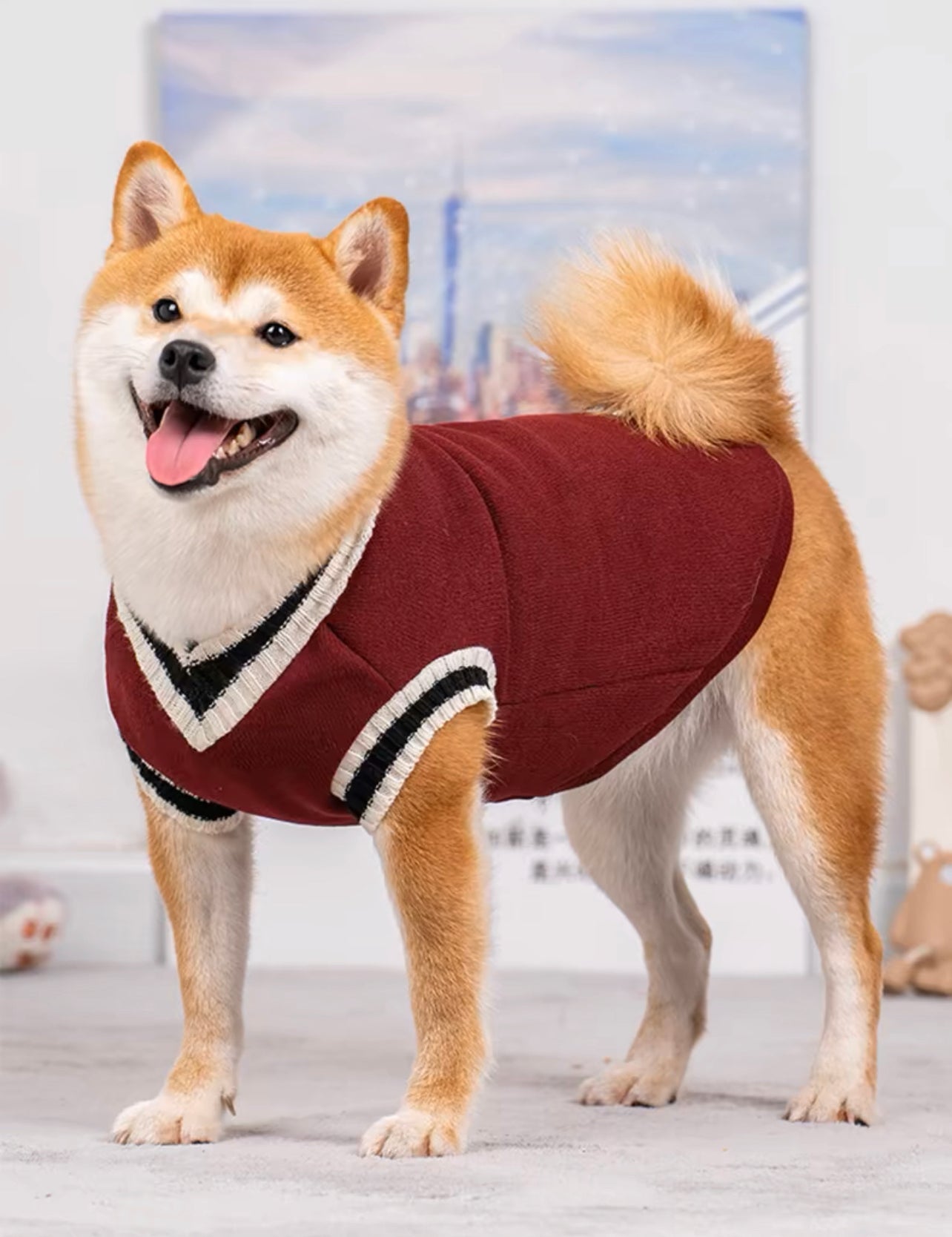 College style pet sweater