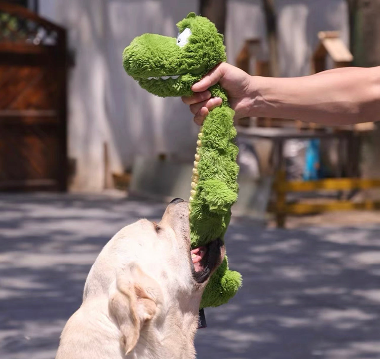 Crocodile pet chew toy
