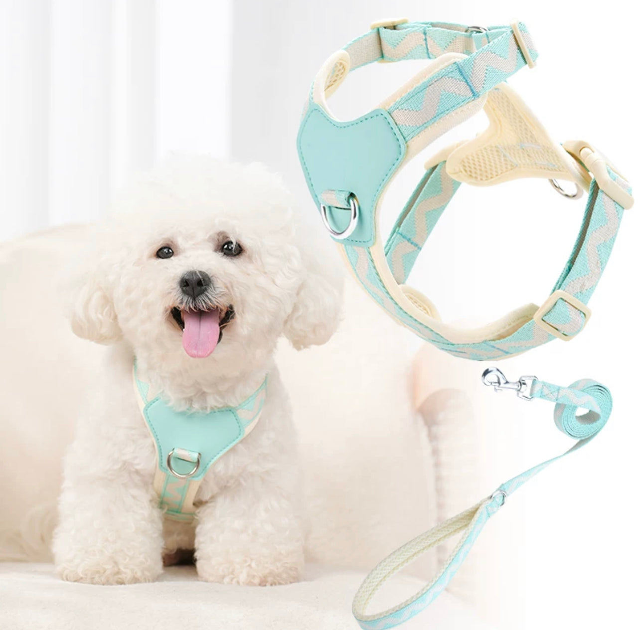 Macaron themed pet harness set