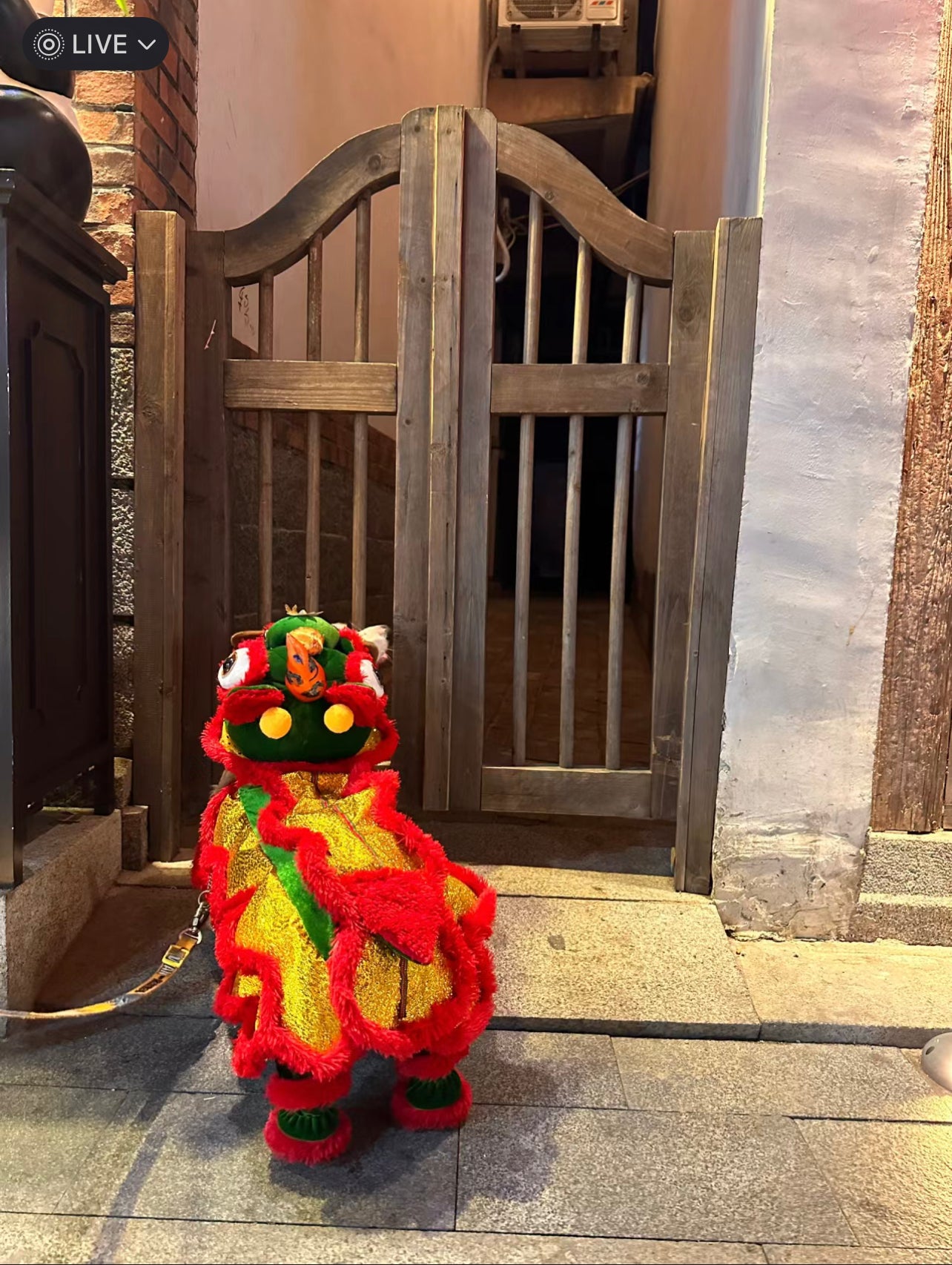 CNY Lion Dance costume