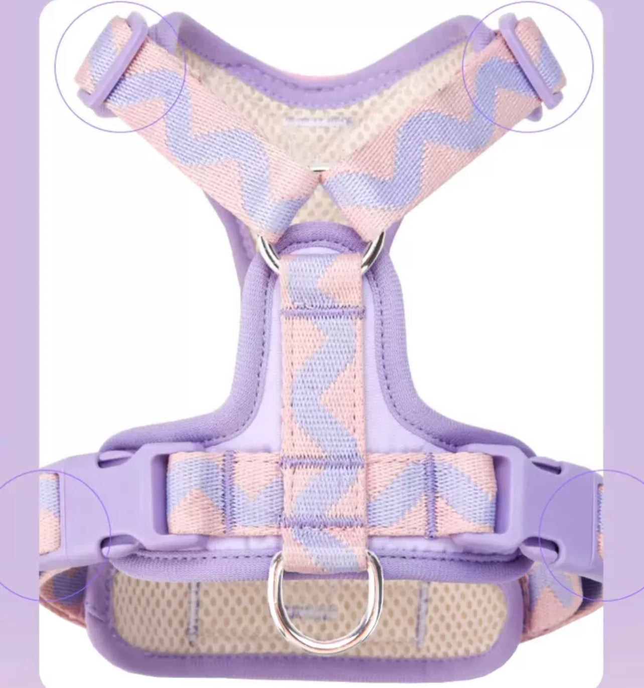 Macaron themed pet harness set