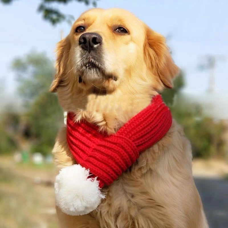Pet scarf