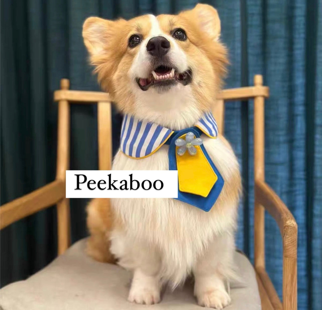 Cute matching collar and tie outfit