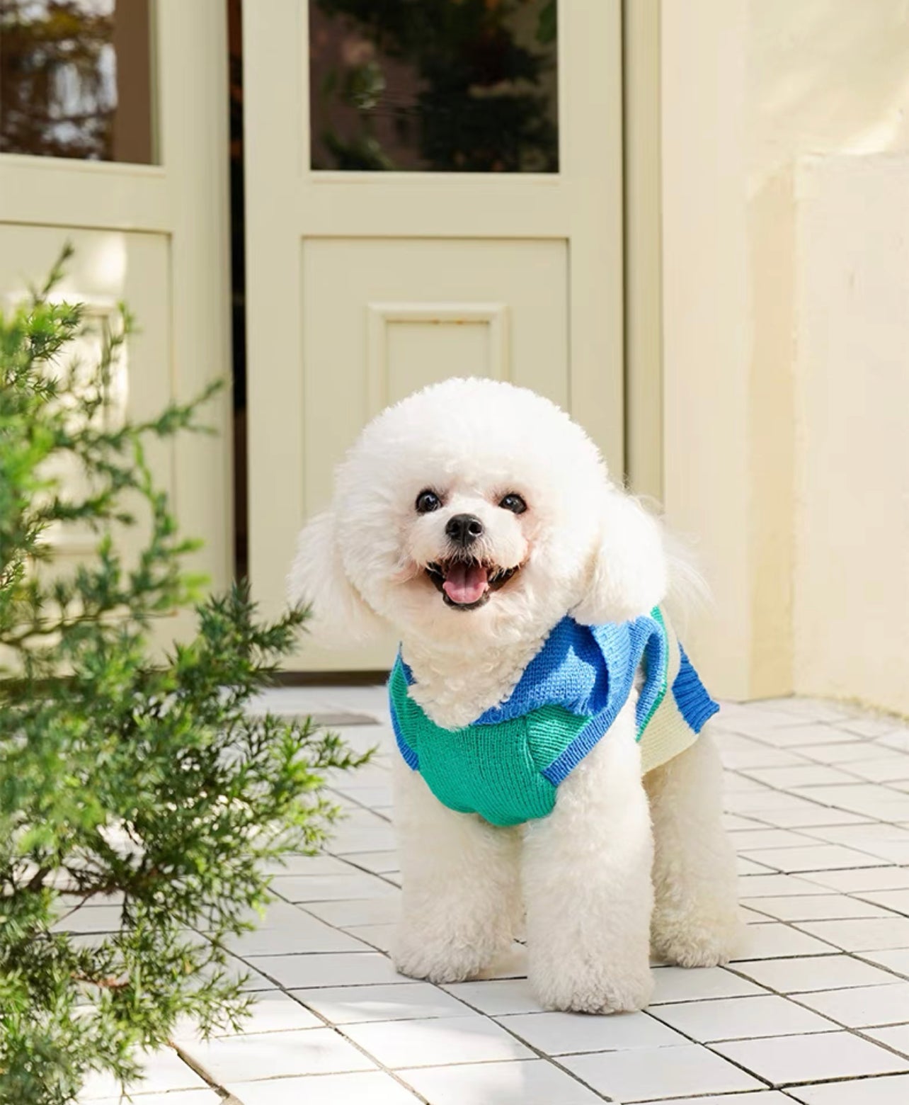Pet Striped singlet