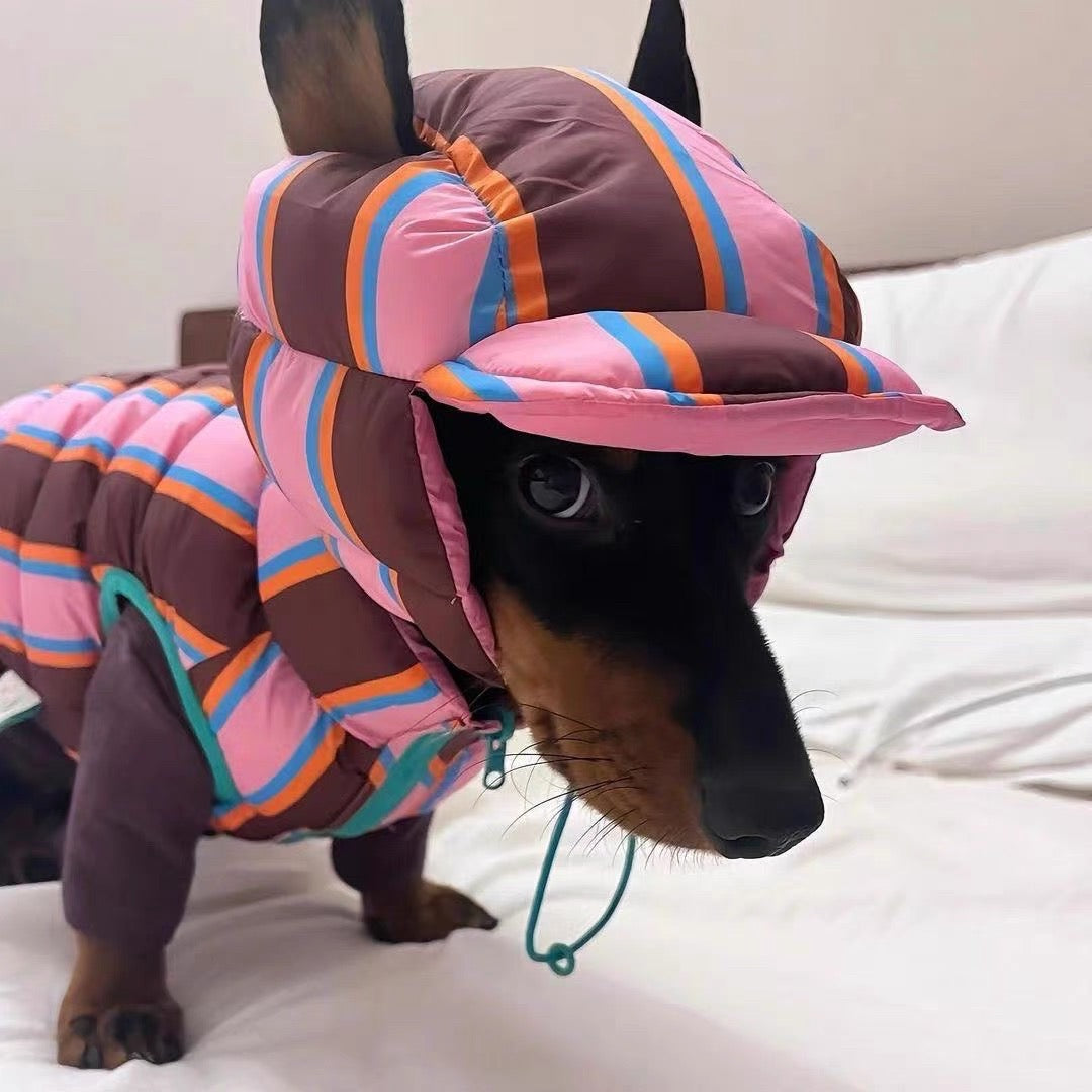 Pet winter jacket