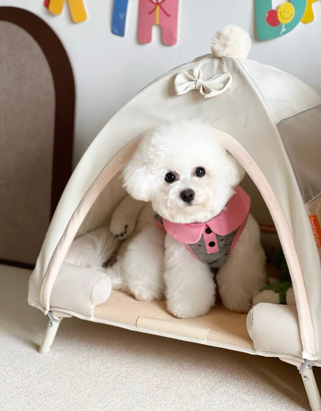 Pet elevated tent bed