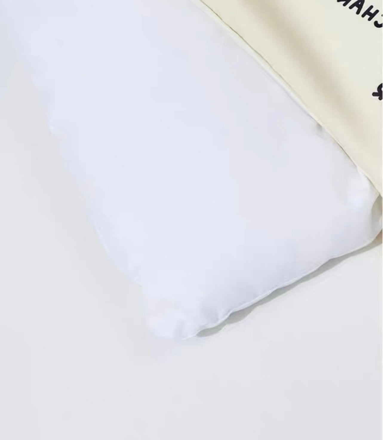 Pet’s mattress