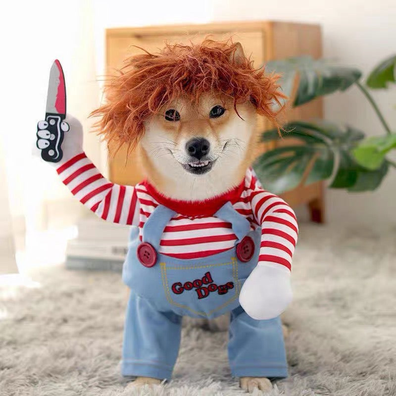 Halloween Costume