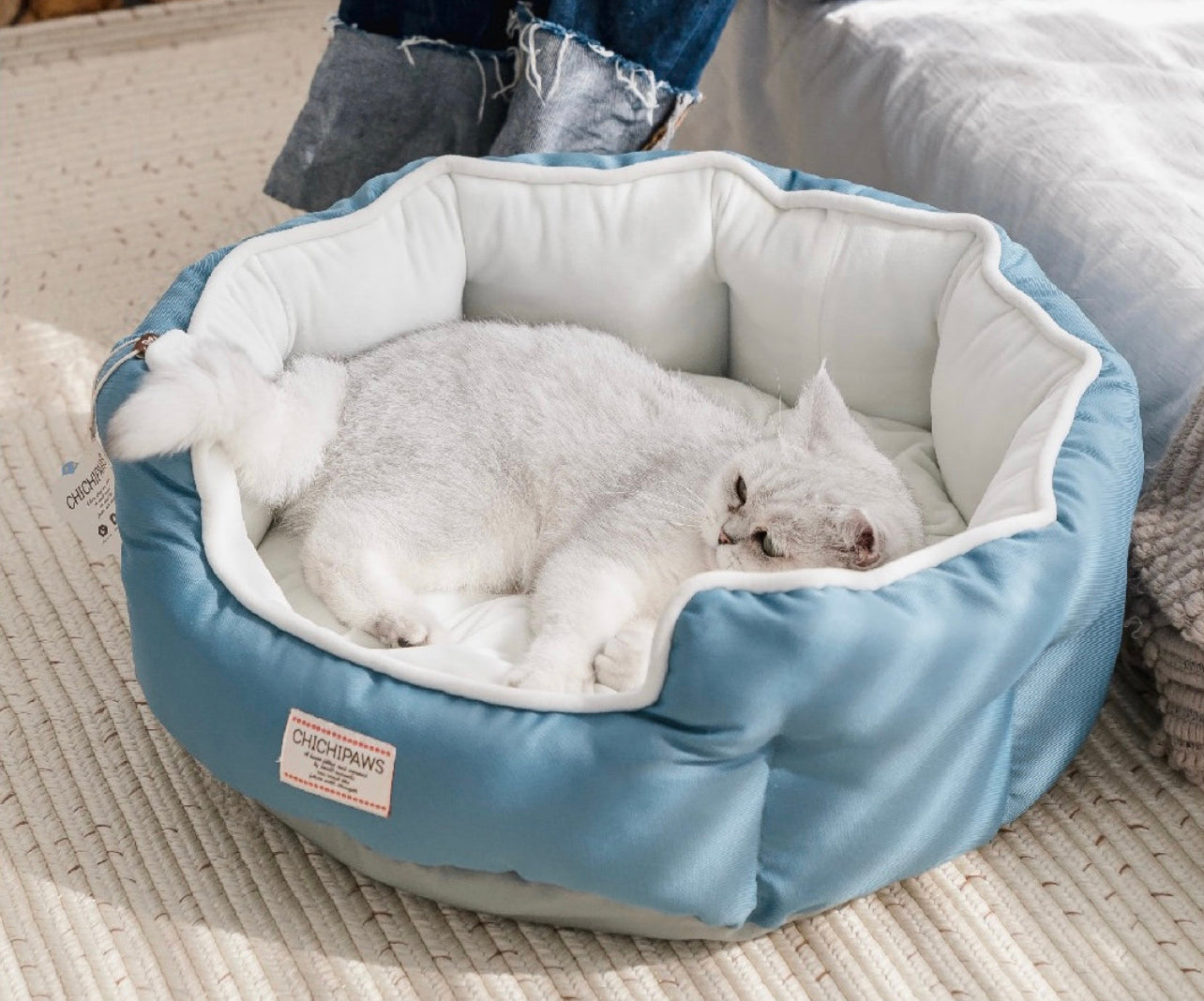 Chichipaws pet bed