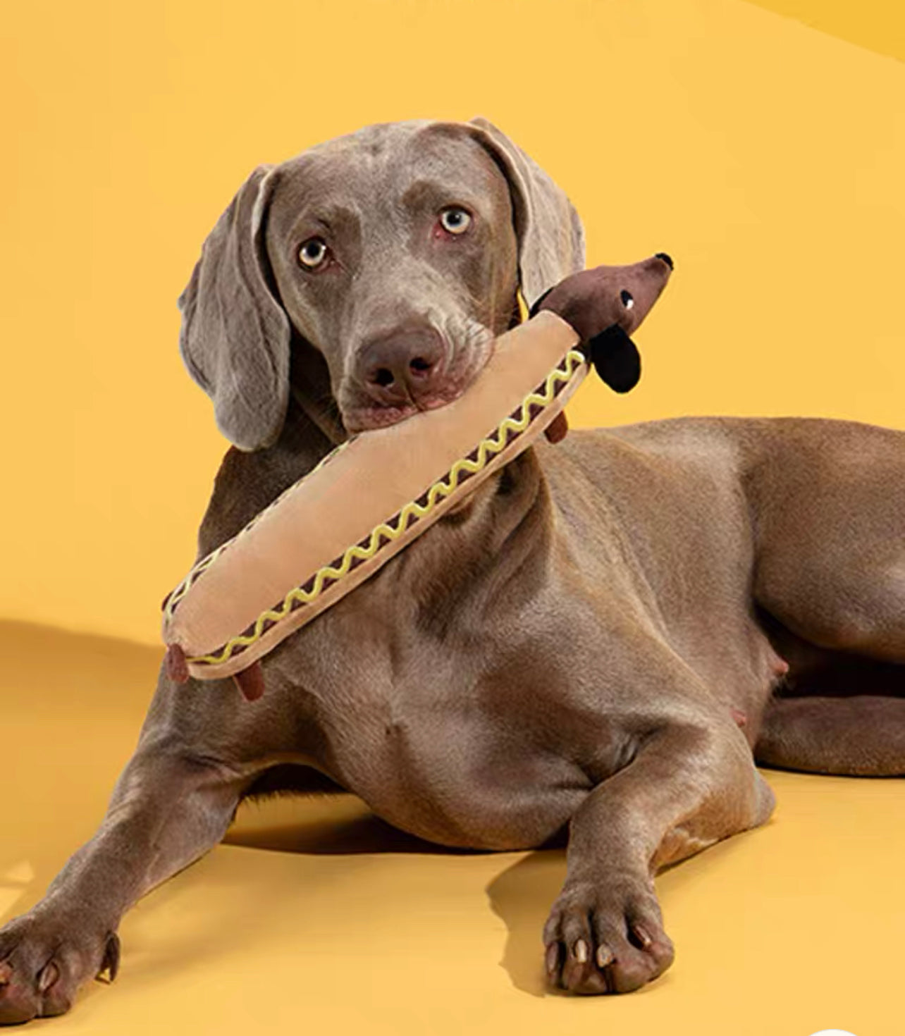 Sausage pet chew toy