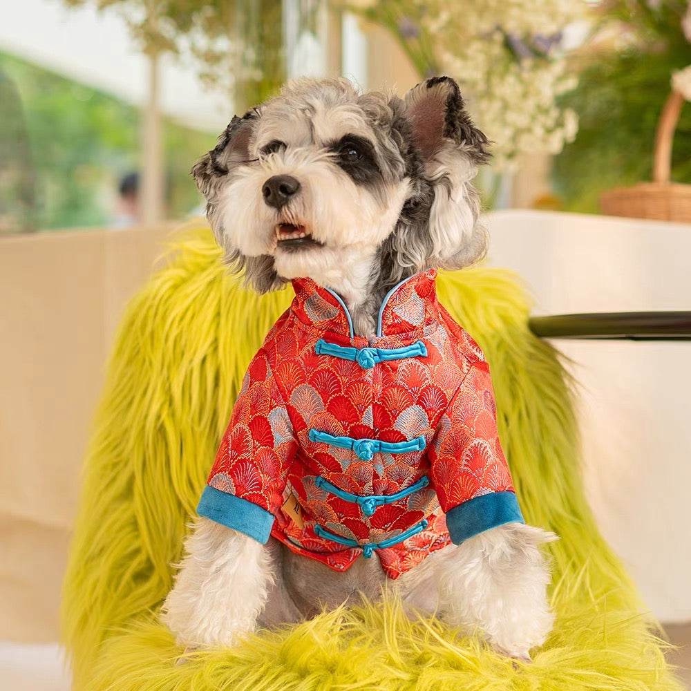 CNY Tang costume