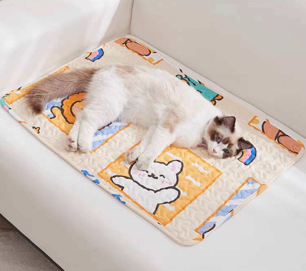 Pet Playpen Mat