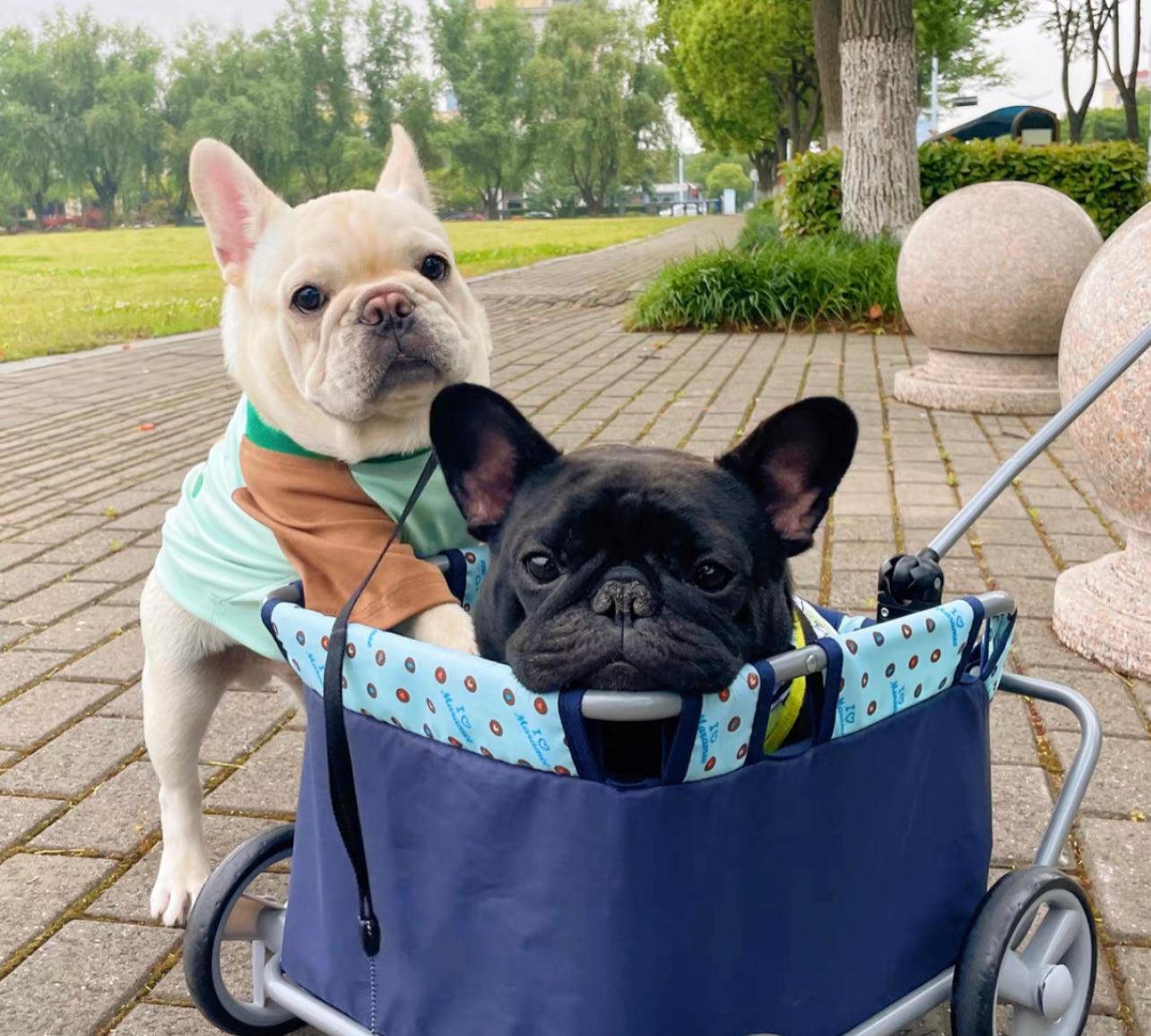 Mini pet stroller