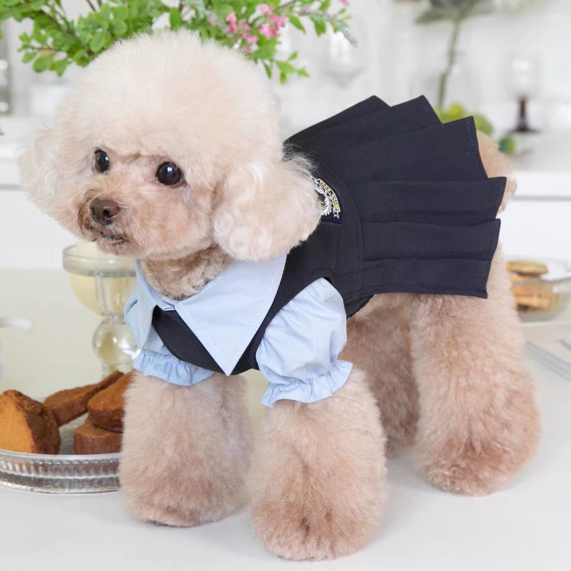 Thai JK costume