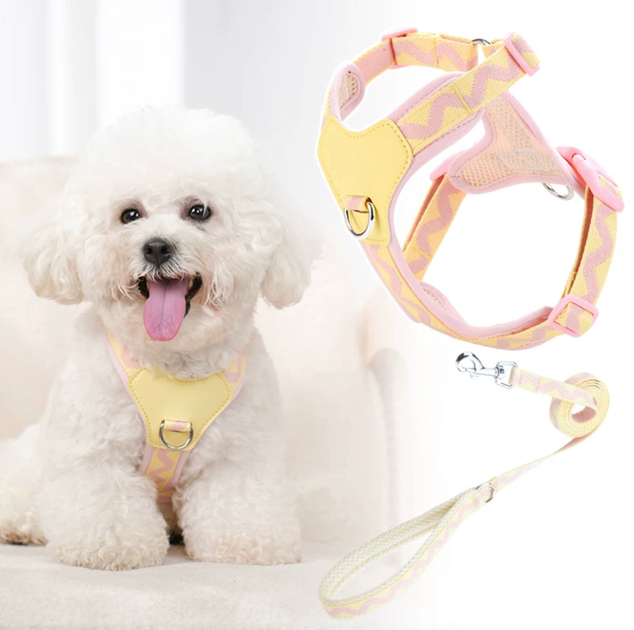 Macaron themed pet harness set