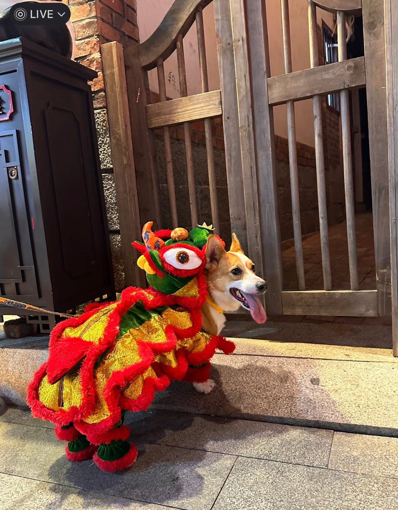 CNY Lion Dance costume