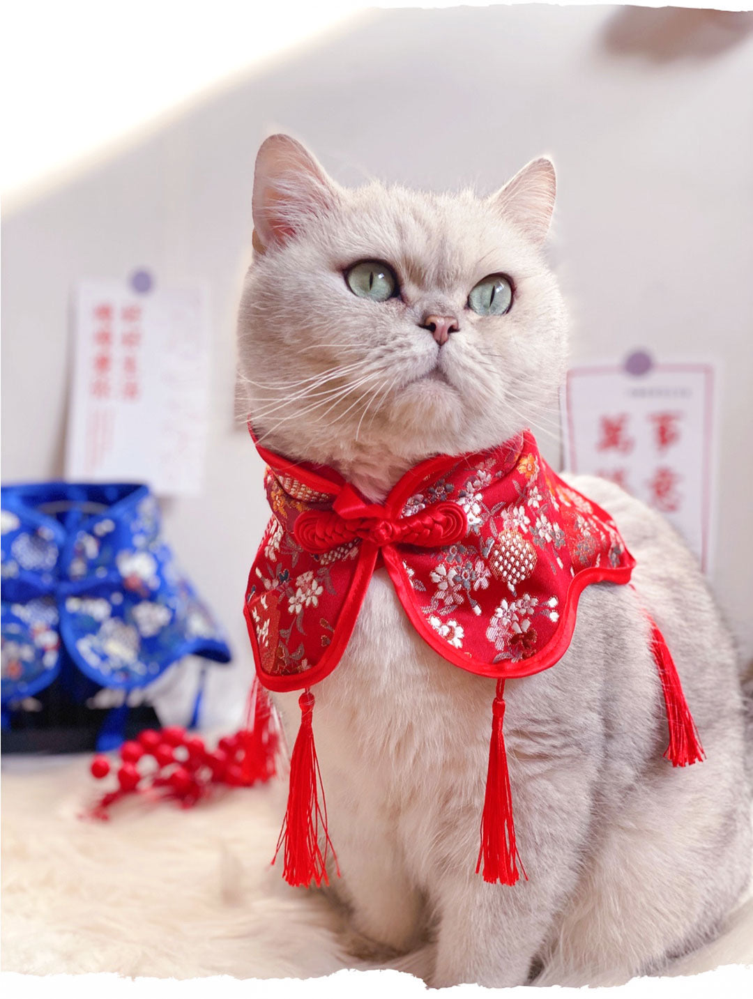 CNY cape