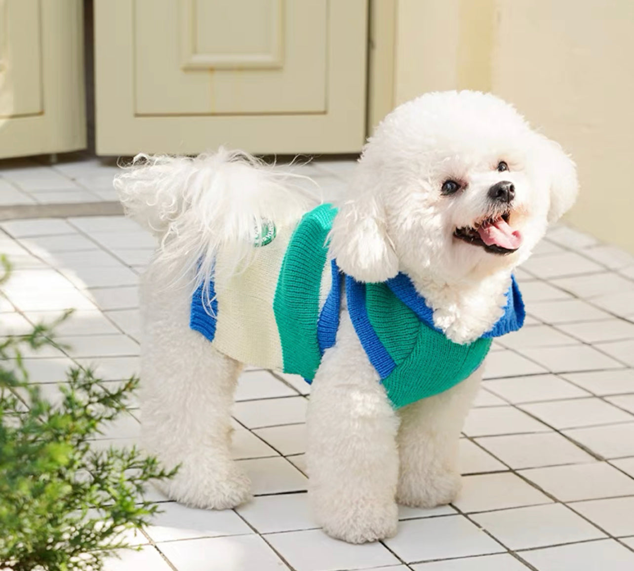 Pet Striped singlet