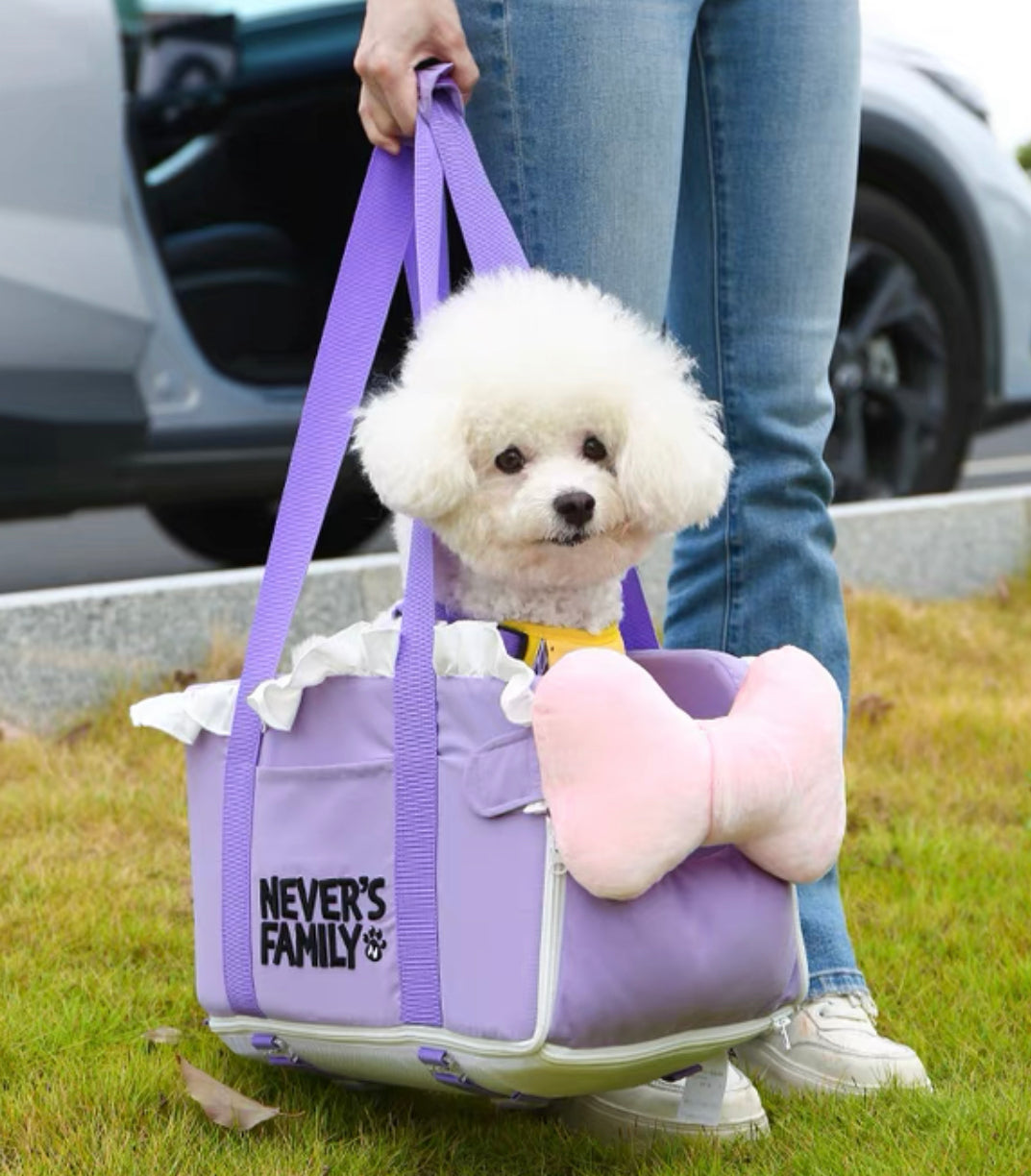 2 in 1 purple pet car booster and carrier