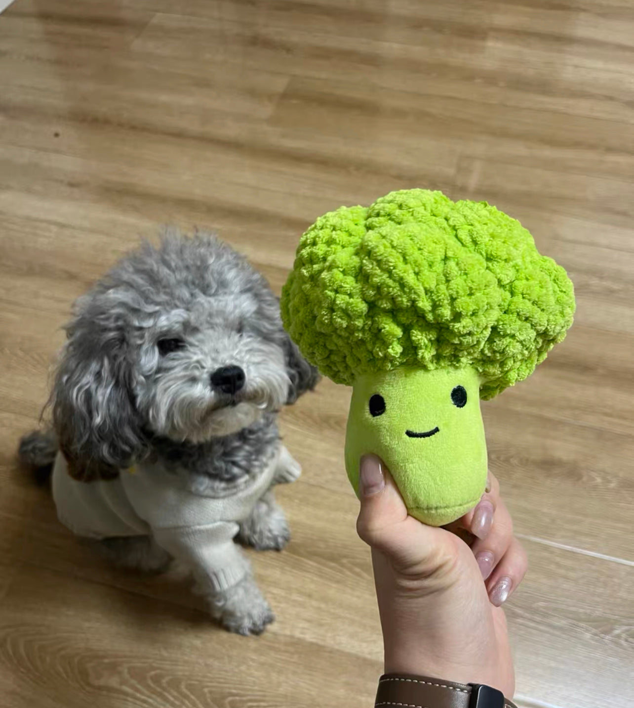Broccoli pet chewing toy