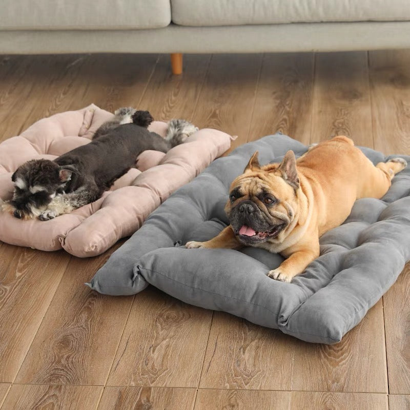 Lazy dog bed