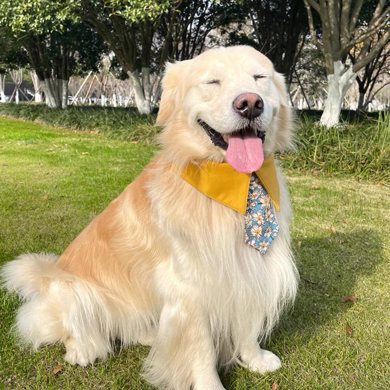 Pet tie