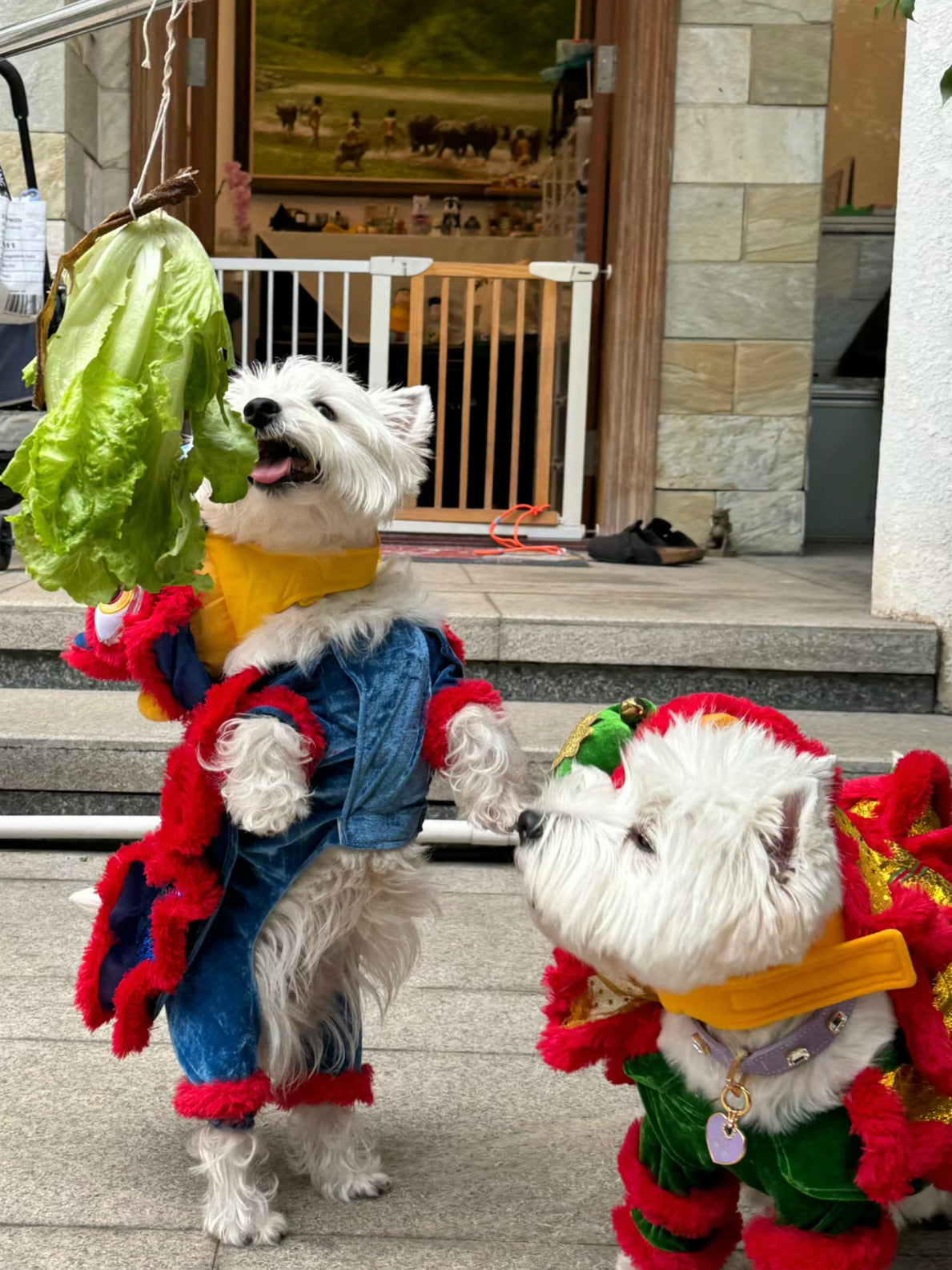 CNY Lion Dance costume