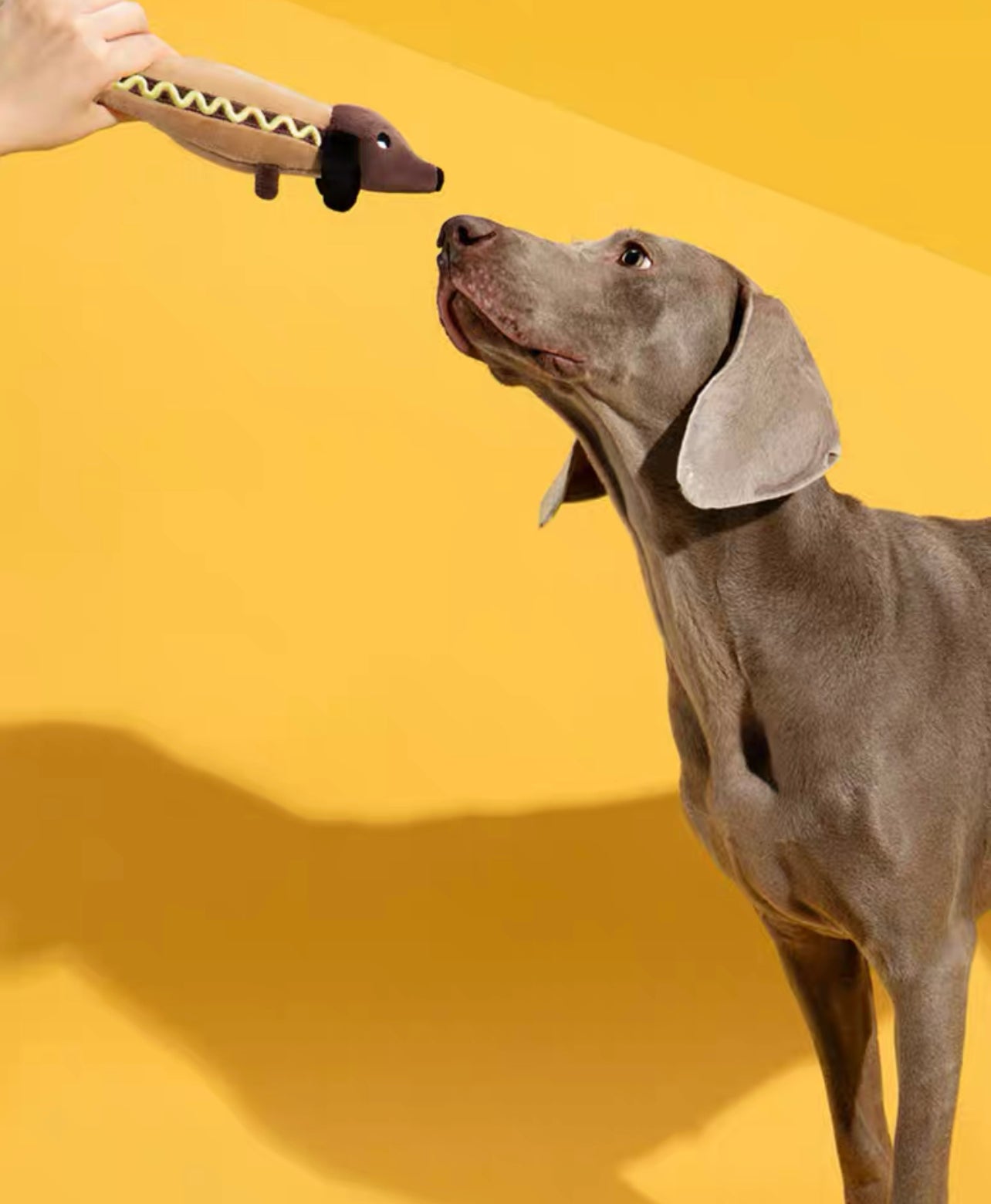 Sausage pet chew toy