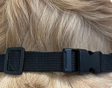 Pet tie