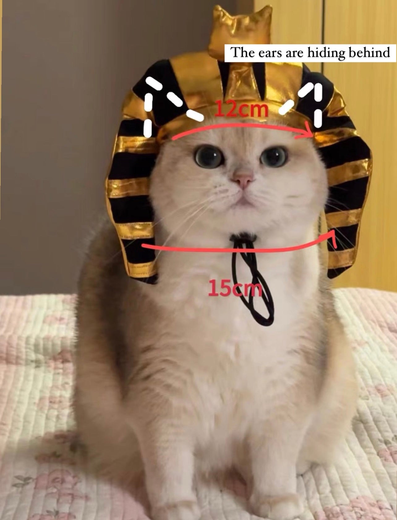 Pharaoh costume
