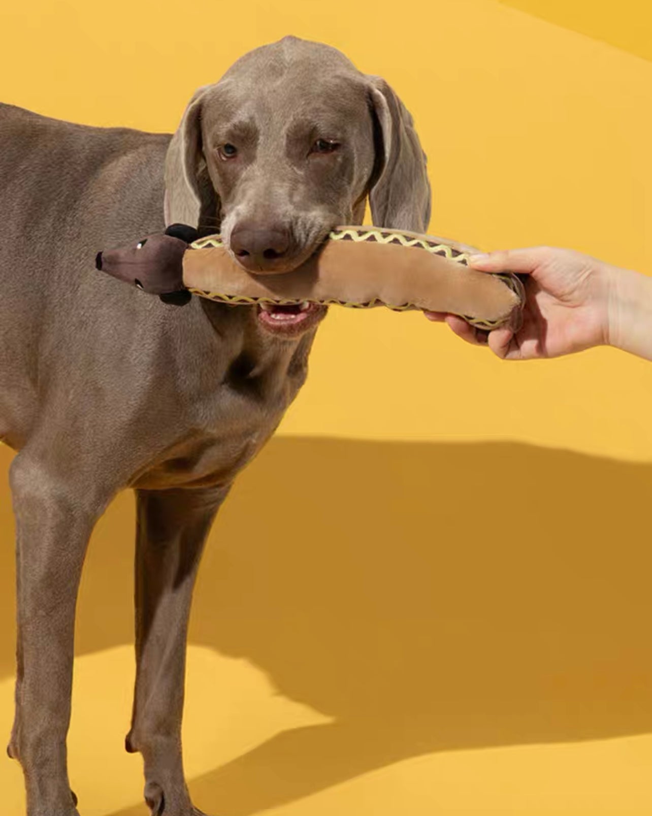 Sausage pet chew toy