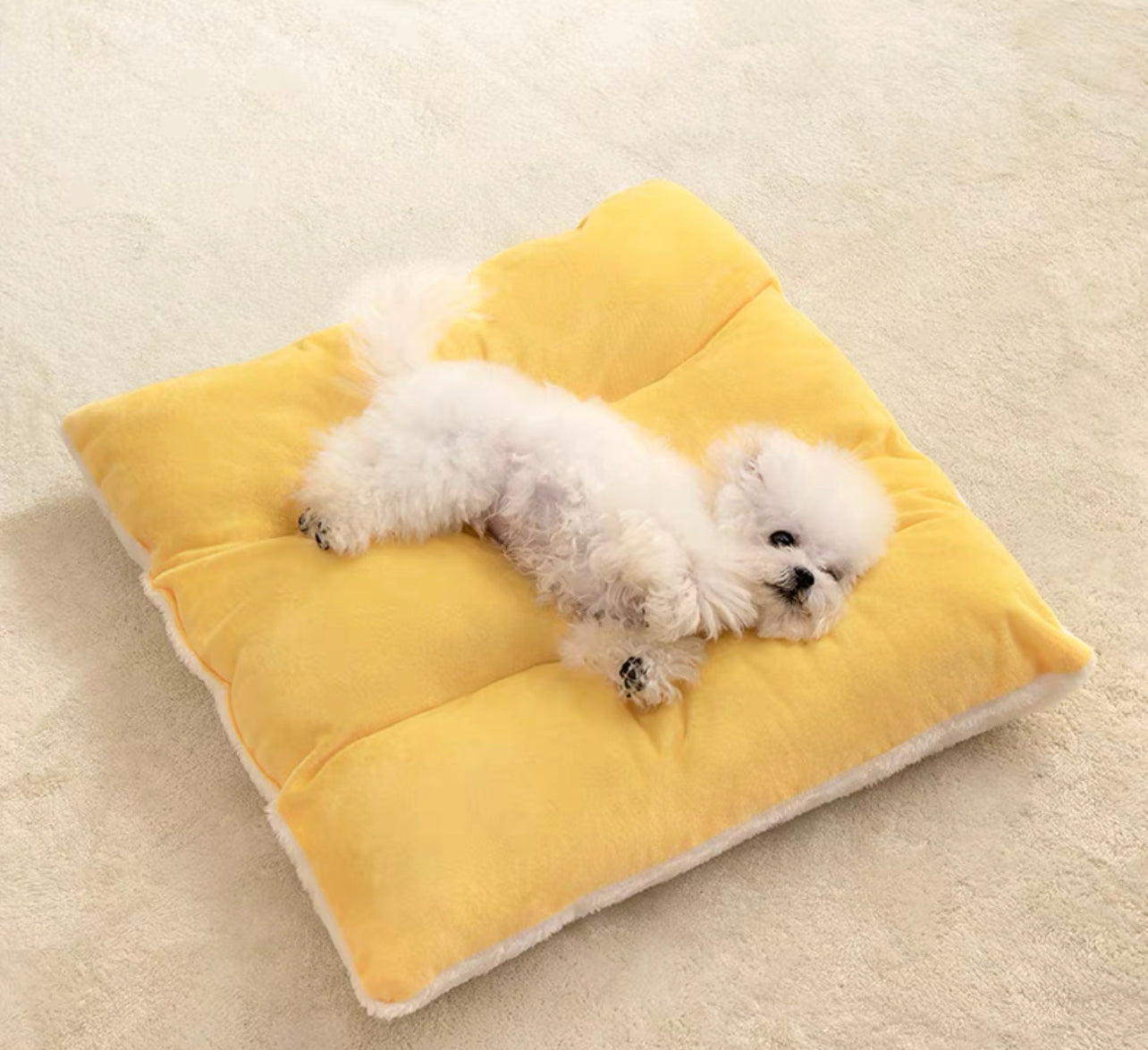 Cute pet tent bed