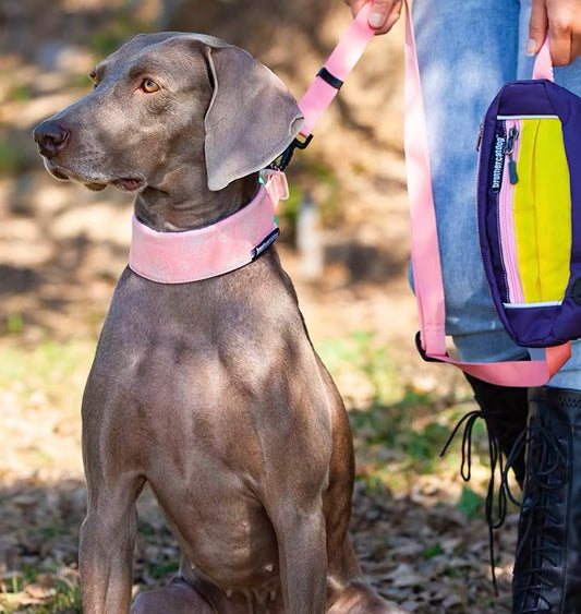 Luxury 4.5cm Width Dog Collar leash
