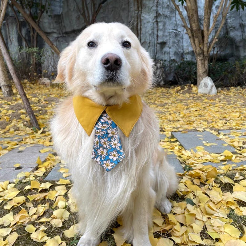 Pet tie