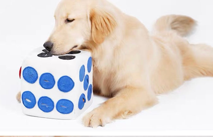 Pet Dice Sniffing toy