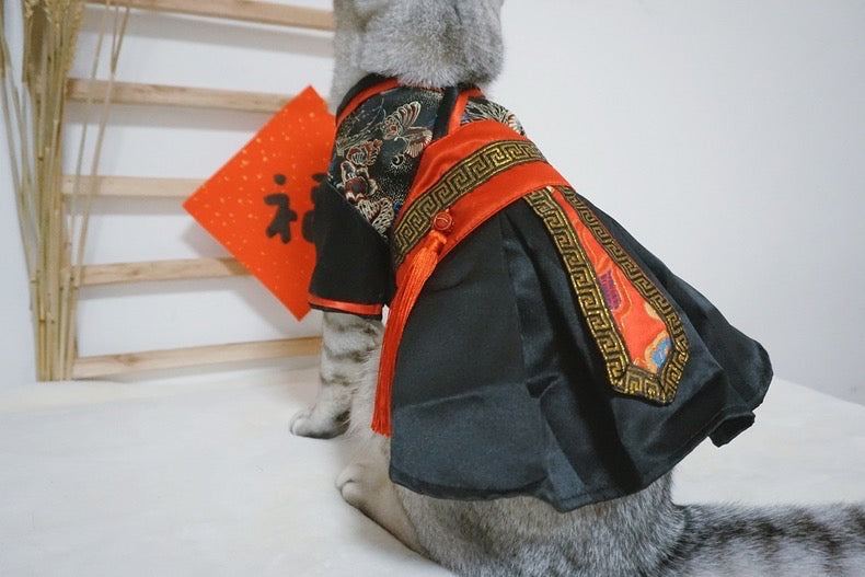 Black knight costume