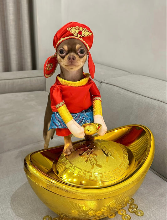 God of wealth costume