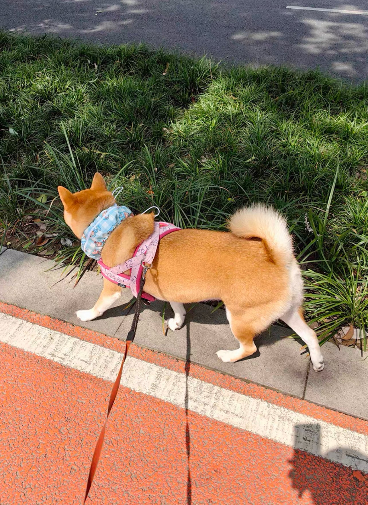 Pet cooling bandana