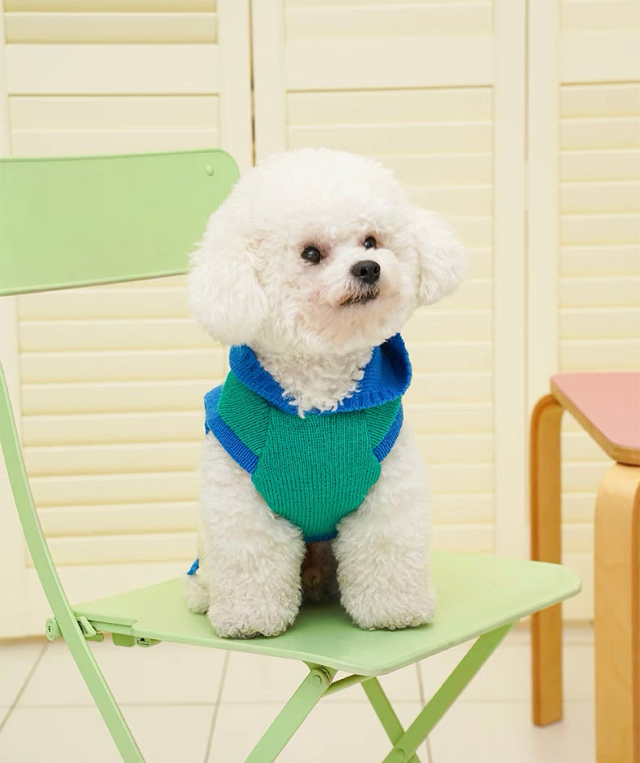 Pet Striped singlet