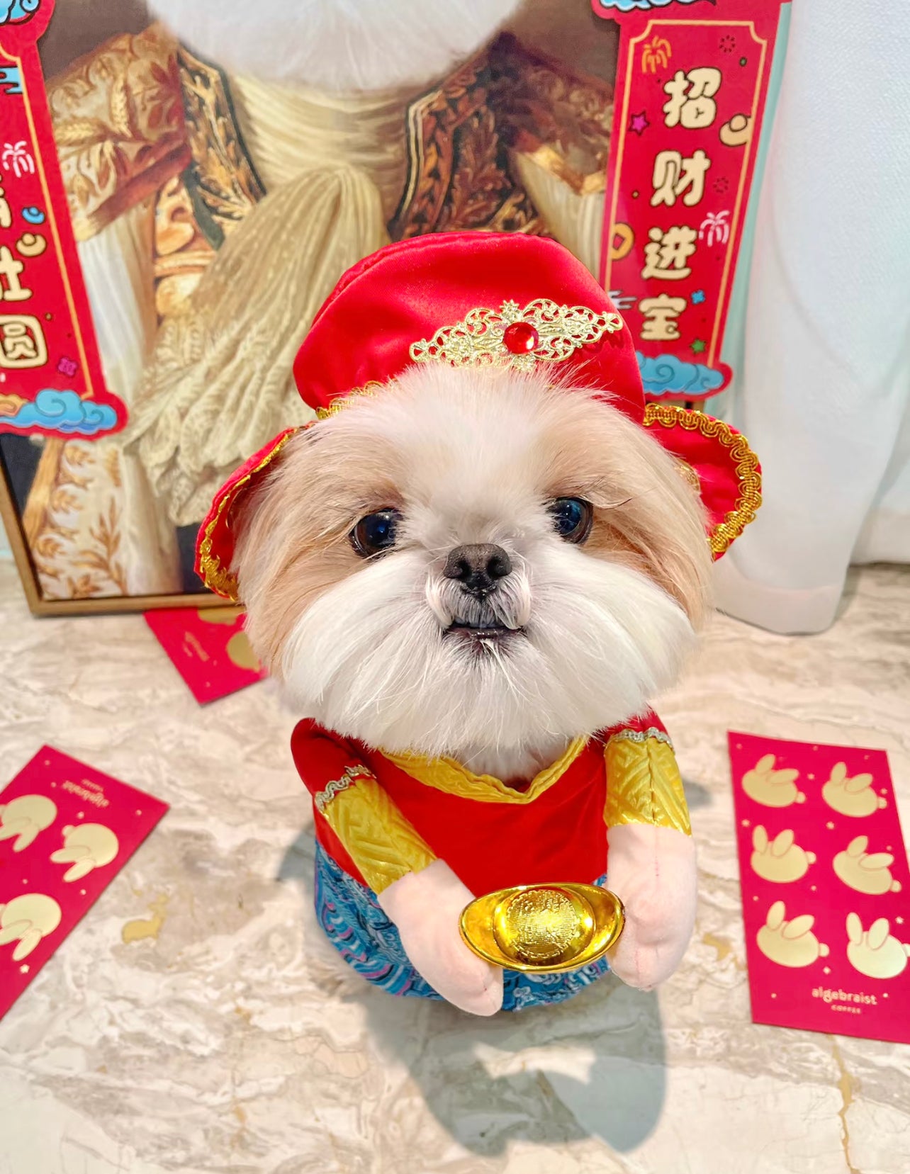 God of wealth costume
