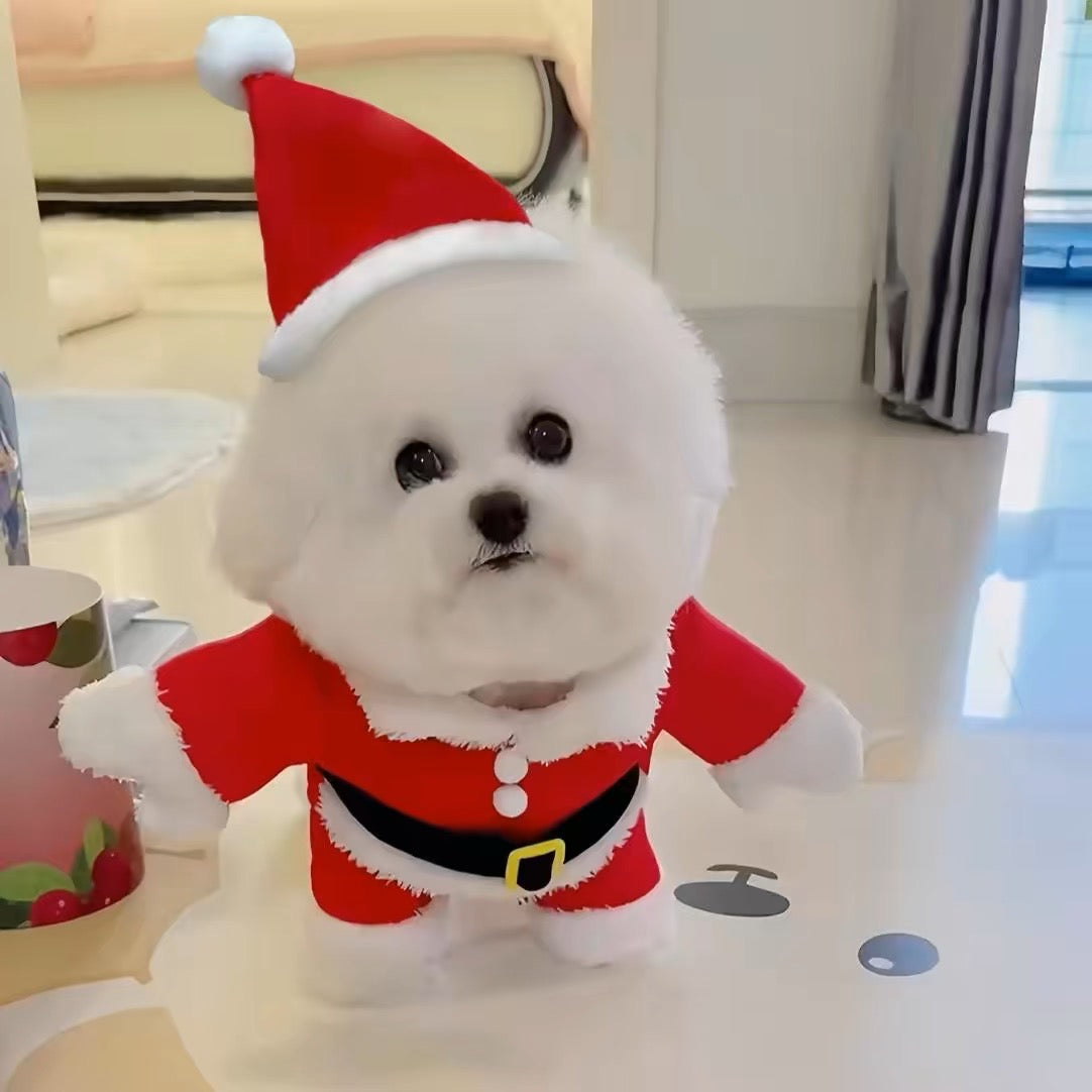 Santa paws costume