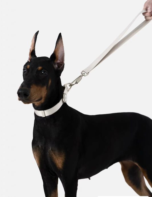 Premium Light Alloy Leash