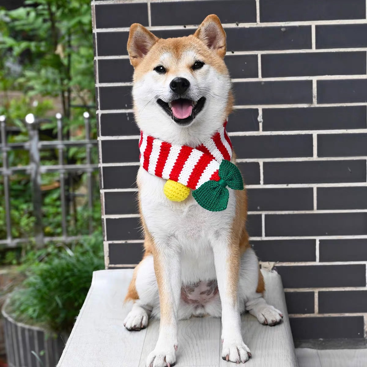 Pet scarf