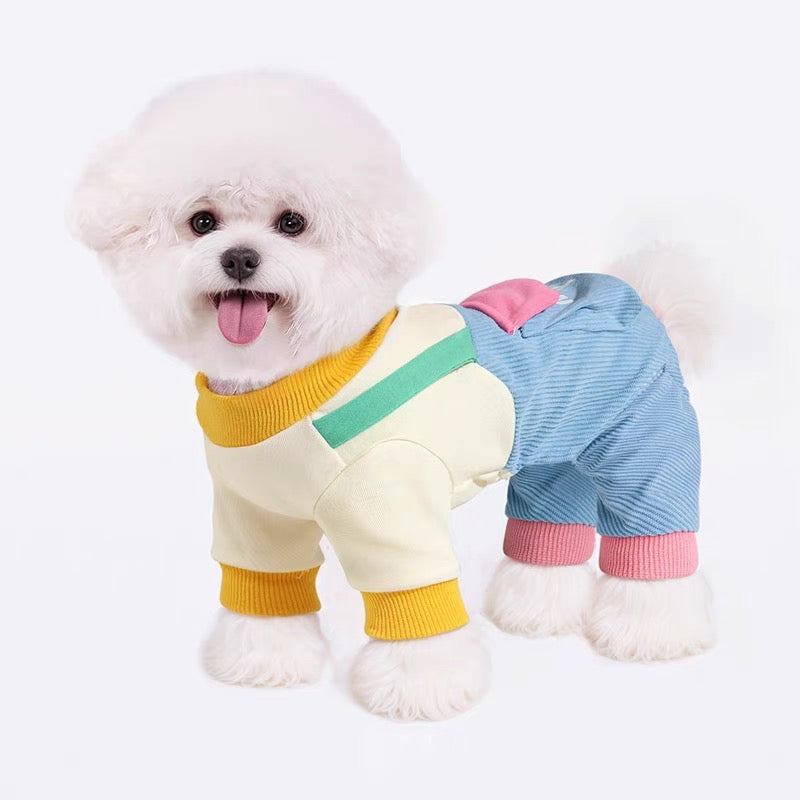 Pastel pet harness costume