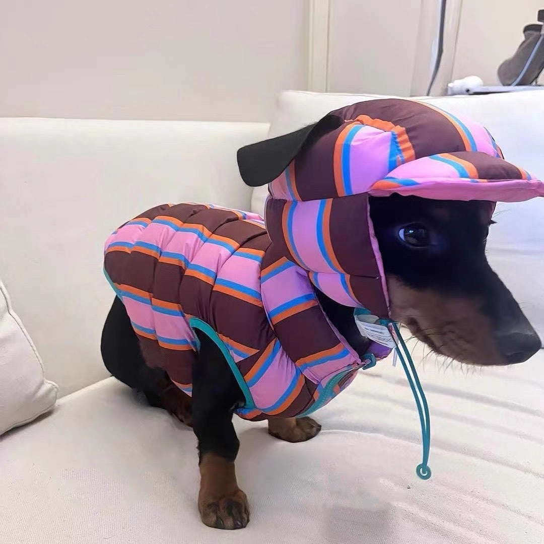 Pet winter jacket