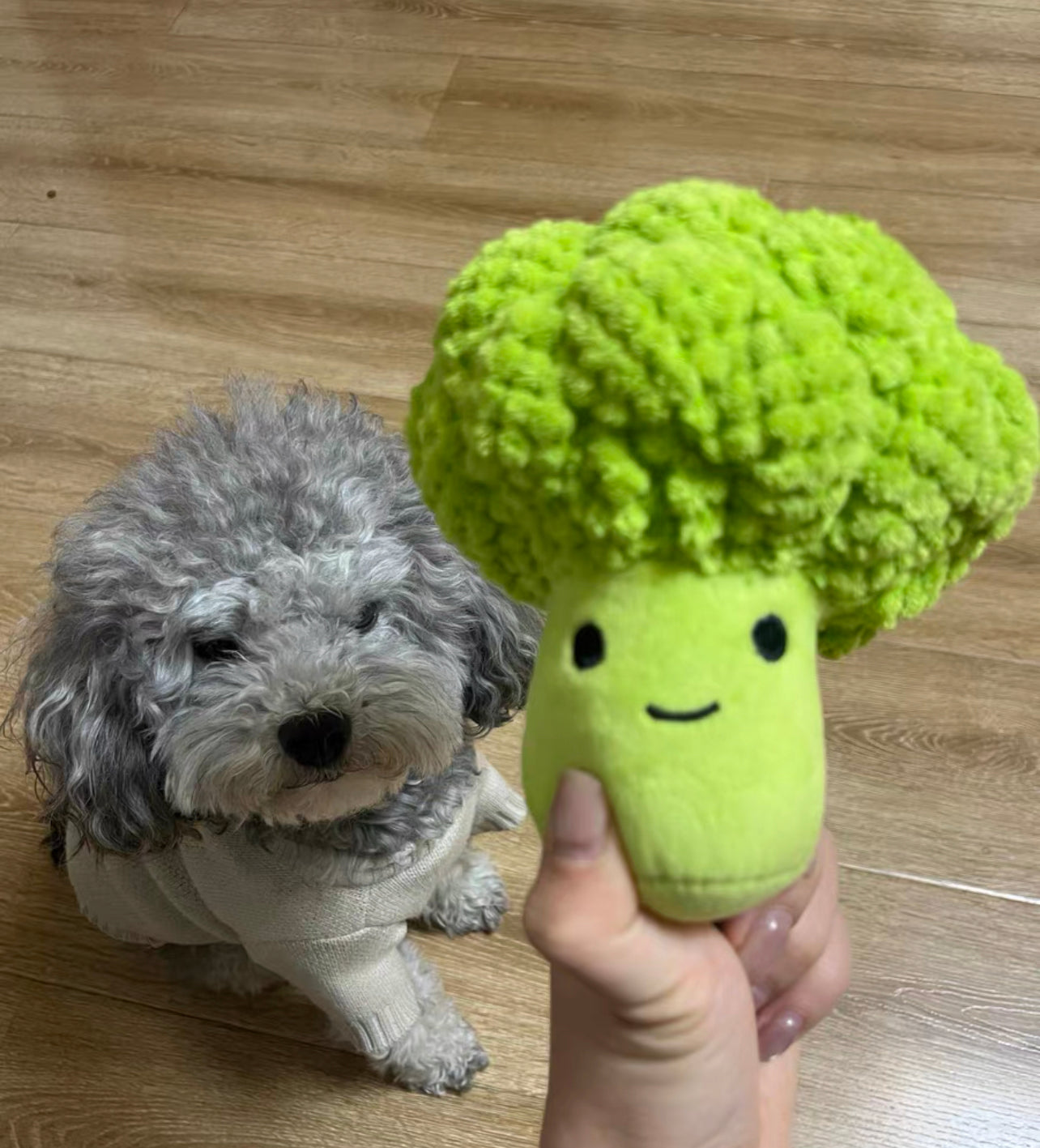 Broccoli pet chewing toy